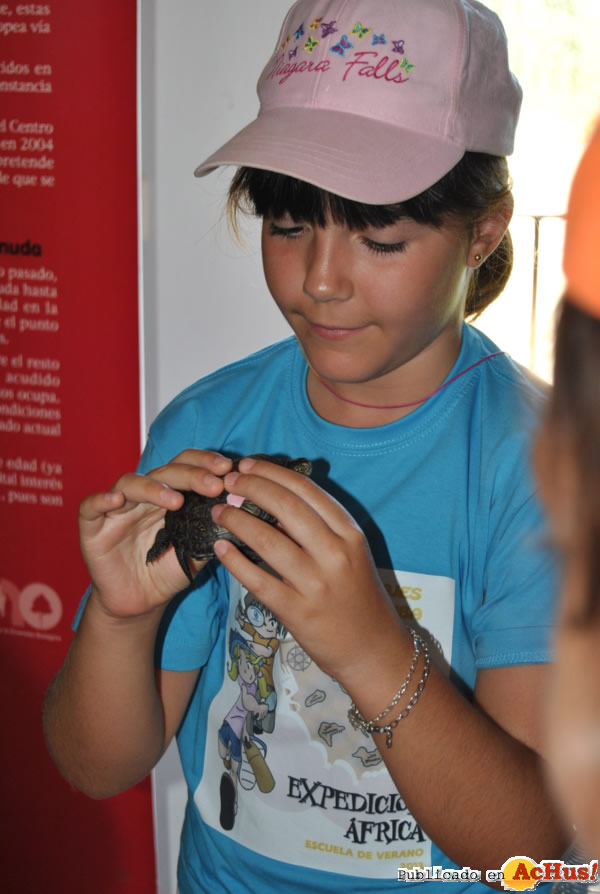 /public/fotos2/taller-suelta- tortugas-04072013.jpg